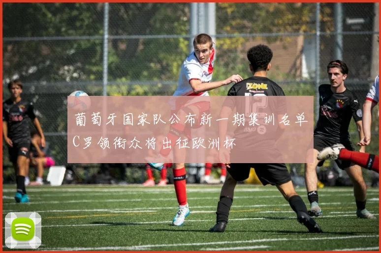 葡萄牙国家队公布新一期集训名单C罗领衔众将出征欧洲杯