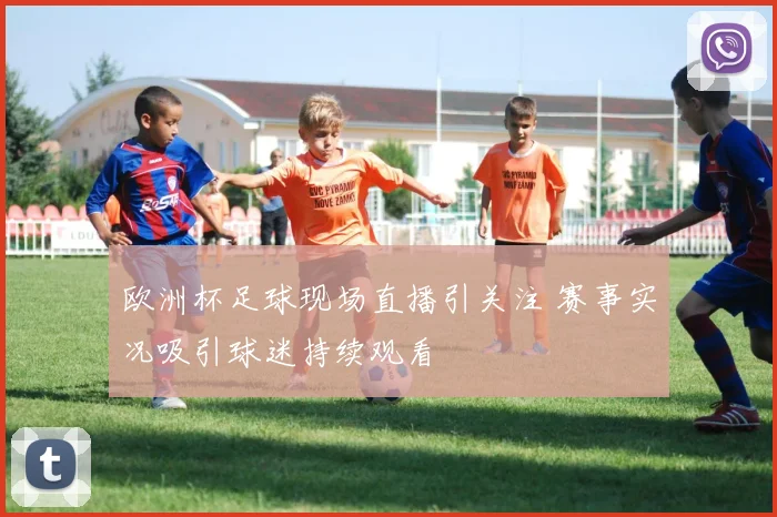 欧洲杯足球现场直播引关注 赛事实况吸引球迷持续观看