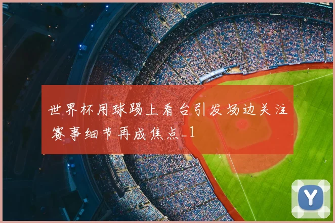 世界杯用球踢上看台引发场边关注 赛事细节再成焦点_1