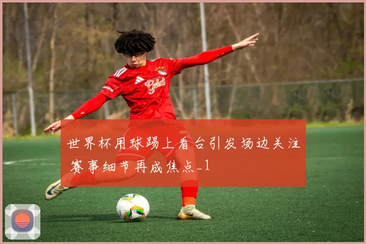 世界杯用球踢上看台引发场边关注 赛事细节再成焦点_1