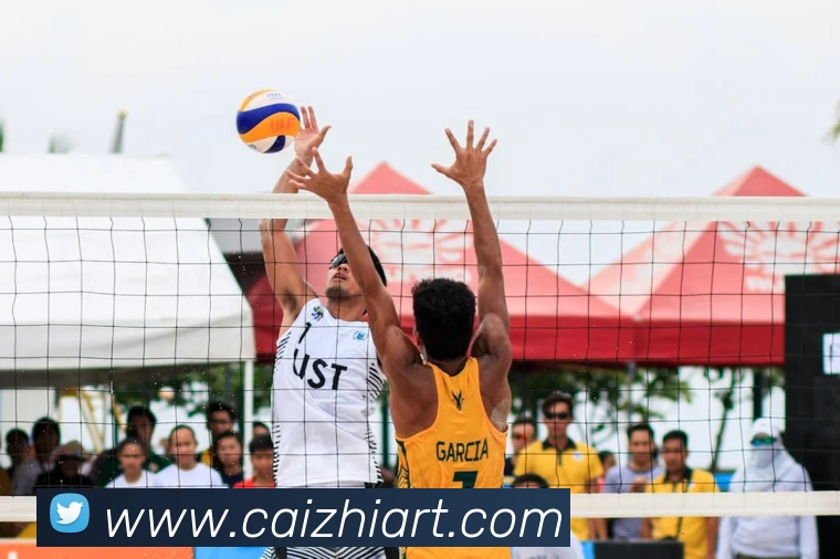 App Interface Preview