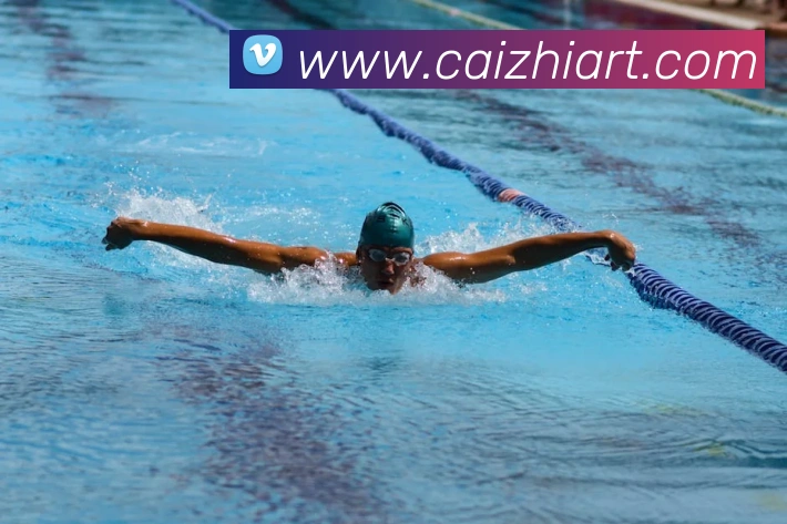 开云官方在线登陆入口APP 封面图